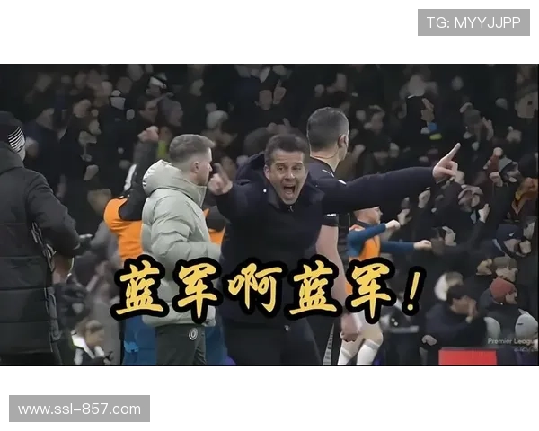 富勒姆2-1切尔西,农场主送蓝军跌出欧战区 富勒姆2-1切尔西,农场主送蓝军跌出欧战区